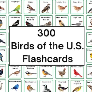 Birds of the United States Flashcards | Learn Names and Images of Hundreds of American Birds | Bird Watching, Bird Spotting | Bird Pictures