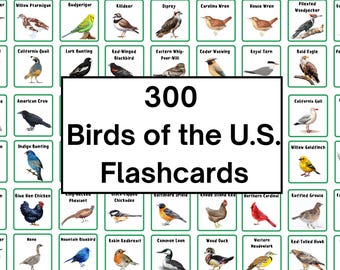 Birds of the United States Flashcards | Learn Names and Images of Hundreds of American Birds | Bird Watching, Bird Spotting | Bird Pictures