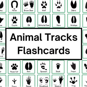 Flashcards de traces d'animaux | Empreintes de pattes d'animaux | Découvrez les traces laissées par les animaux | Guide d'exploration de la nature sauvage | Guide Animaux à l'état sauvage