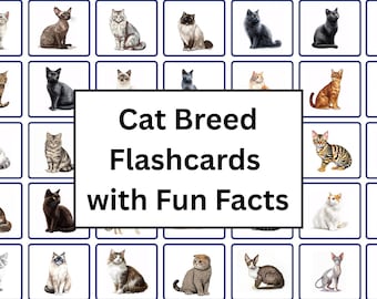 Cat Fun Fact Flashcards | Learn 45 Different Cat Breeds | Cat Fun