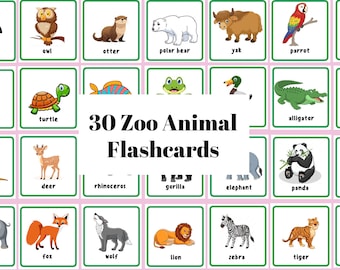 Zoo Animals Sight Word Flashcards | Kindergarten, Elementary School | Summer Learning Supplement | 1st and 2nd grade Reading Sight Words