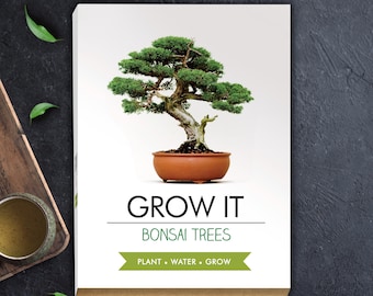 Bonsai Tree Seed Growing Kit: Miniature Japanese Trees, Gardening Gift