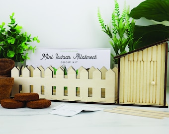 Mini Indoor Herb Garden Kit: Basil, Parsley, Chive Seeds
