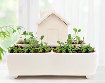 Self Watering Herb Garden Kit: Ceramic Herb Seeds Growing Set