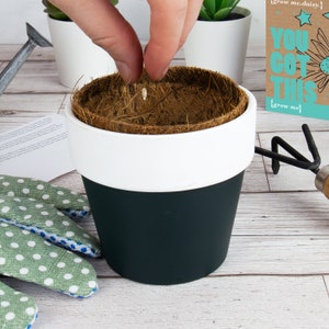 May include: A person planting a seed in a black and white pot. The pot has a coconut coir disk inside. The text on the card says "You Got This" and "Grow Me Daisy".