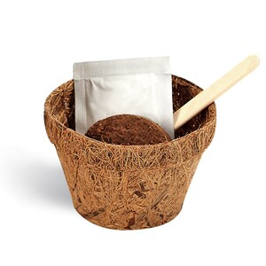 May include: A brown coconut fibre pot with a small wooden spoon, a packet of seed starter, and a small disc of compressed soil.