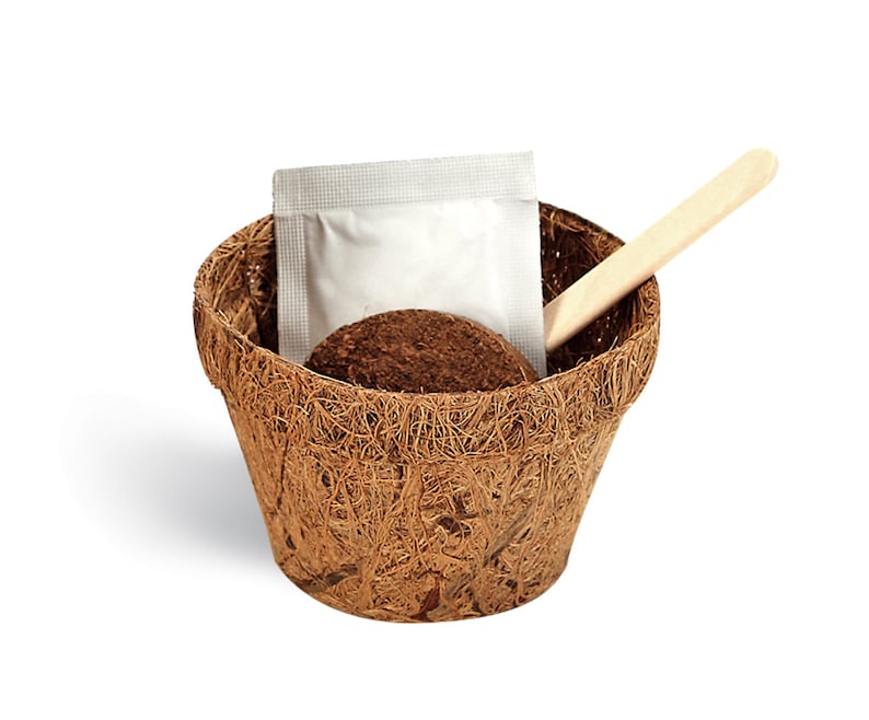 May include: A brown coconut fibre pot with a small wooden spoon, a packet of seed starter, and a small disc of compressed soil.