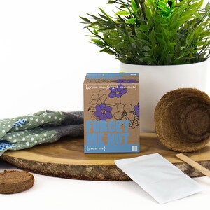 May include: A brown cardboard box with a blue and white label that says "Forget Me Not" and "grow me". The box contains a packet of forget-me-not seeds, a small peat pot, and a wooden stick.
