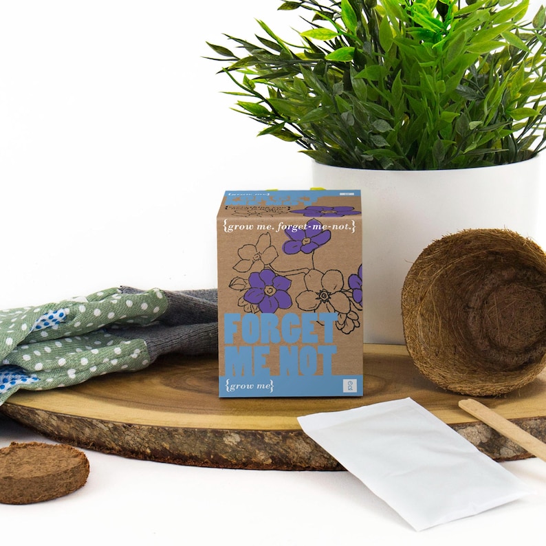 May include: A brown cardboard box with a blue and white label that says "Forget Me Not" and "grow me". The box contains a packet of forget-me-not seeds, a small peat pot, and a wooden stick.