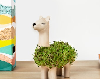 Llama Chia Planter Kit: Fun Sprouting Desktop Pet