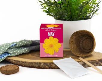 May Birth Flower Gift Set: Grow Your Own Cosmos Seeds