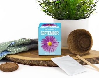 September Birth Flower Gift Set: Grow Your Own Aster Seeds