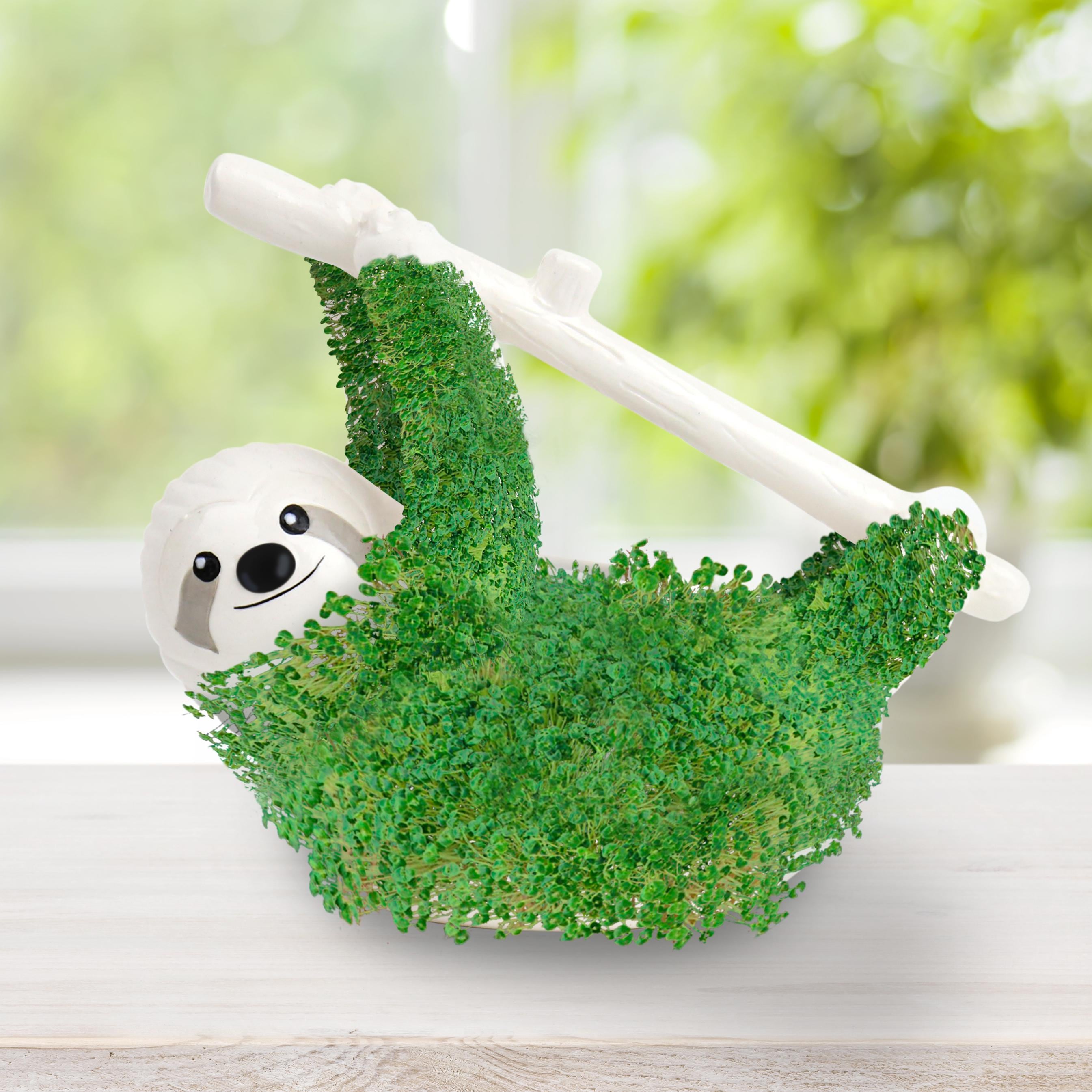 Sloth Chia Planter Kit: Fun Sprouting Desktop Pet - Etsy