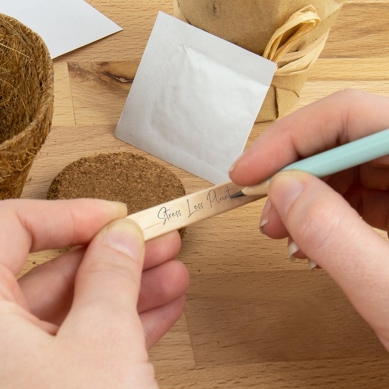 May include: A person is writing "Stress Less Plant" on a wooden stick with a blue pencil. The stick is next to a small brown pot with soil.