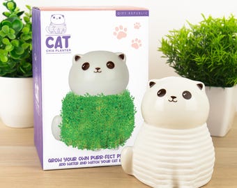 Cat Chia Planter Grow Kit: Novelty Desktop Pet - Micro Greens