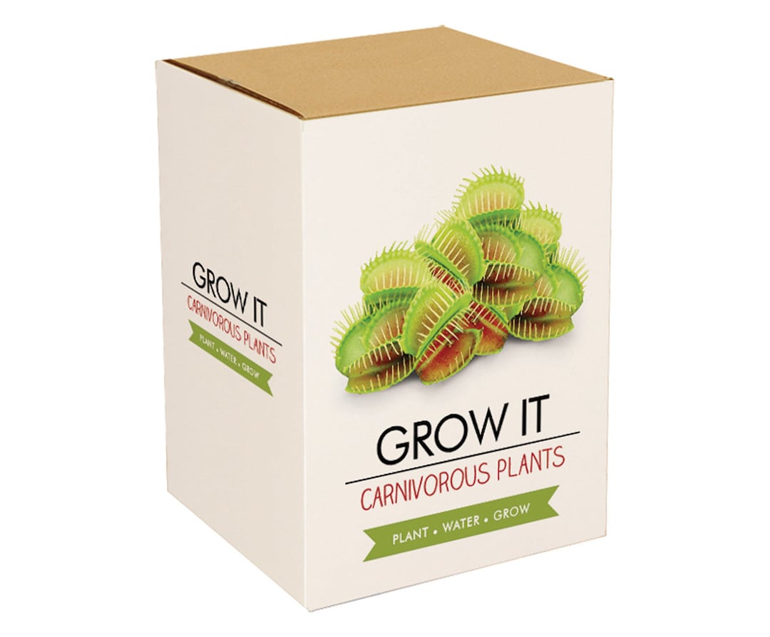 Carnivorous Plant Growing Kit: Venus Flytrap & Pitcher Seeds - Etsy UK