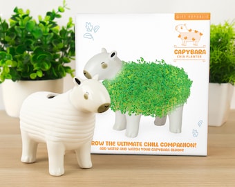 Capybara Chia Pet Planter Grow Kit: Fun Novelty Gift