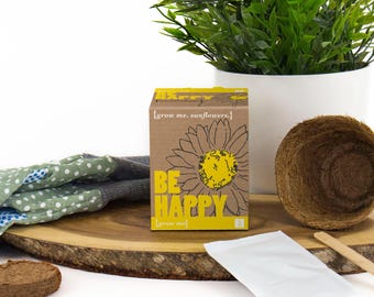 Sunflower Grow Kit: Thoughtful Teacher Thank You Gift