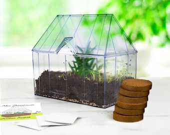 Mini Greenhouse Herb Grow Kit: Basil, Rosemary, Thyme Seeds
