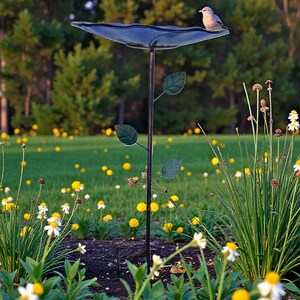 A bird perches on a bird bath in a lush garden filled with yellow flowers and green foliage.