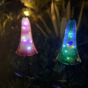 two colorful, illuminated objects, possibly mushrooms or plants, standing in a dark, natural setting.