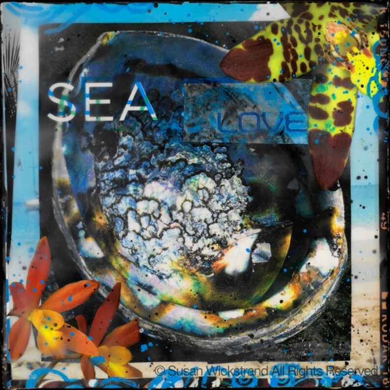 Puede incluir: Un collage de arte abstracto colorido con una concha marina, una estrella de mar y las palabras "SEA LOVE" en el centro. El fondo es una acuarela azul y blanca.