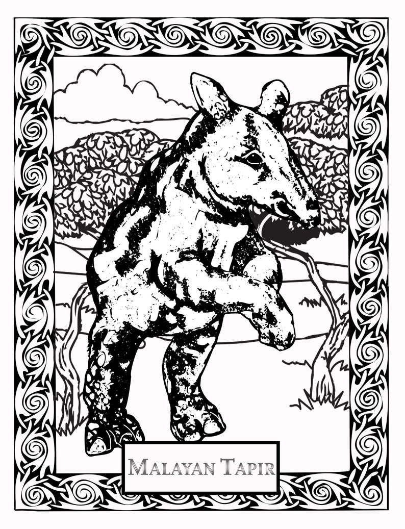 MALAYAN TAPIR Coloring Page 8.5 x 11 you can frame to | Etsy
