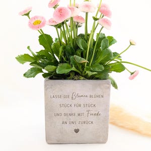 Könnte beinhalten: Ein quadratischer, grauer Beton-Blumentopf gefüllt mit rosa Gänseblümchen und grünem Laub. Der Topf trägt den deutschen Text: "LASSE DIE BLUMEN BLÜHEN, STÜCK FÜR STÜCK, UND DENKE MIT FREUDE, AN UNS ZURÜCK" und ein Herzsymbol.