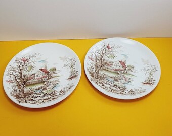 Vintage Retro English Spring Countryside PAIR Johnson Bros Side Plate 1970's Classic Dinner wear Made in England