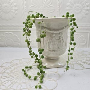 Puede incluir: Una maceta de cerámica color crema estilo urna con un diseño en relieve de dos figuras y un borde similar a una cuerda. Una planta de collar de perlas con pequeñas hojas suculentas redondas y verdes cuelga por los lados del recipiente.