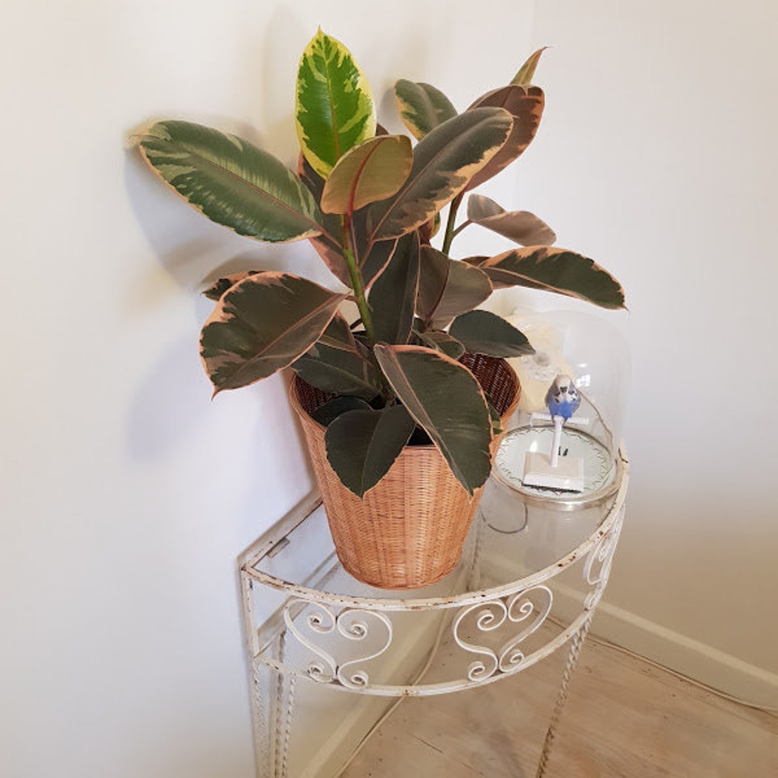 Retro Large Cane Pot Plant Holder Original 1970's Recycle Etsy