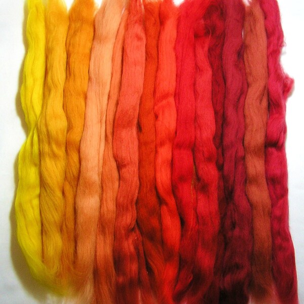 Themed bag of soft merino fiber roving (called tops in the UK) (A21)