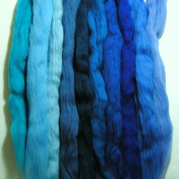 Themed bag of soft merino fiber roving (called tops in the UK) (A20)