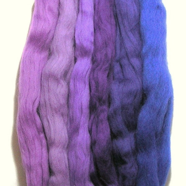 Themed bag of soft merino fiber roving (called tops in the UK) (A22)