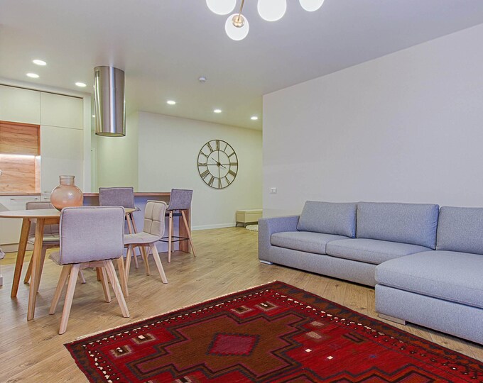 Hand-knotted Baluchi in Red and Brown 2.95 x 4.59 ft