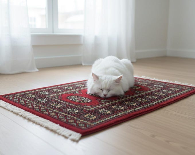 2.2 X 2.9 ft Red Geomatrical Handmade, Mori Bokhara Cotton and Wool