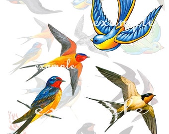 Birds Digital Collage Sheet 3 - 11 Images