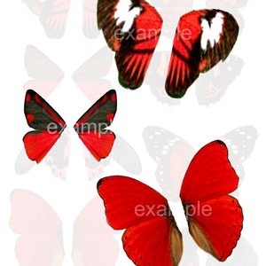 Red and Black Butterfly Wings Digital Collage Sheet Butterflies Junk Journal Ephemera