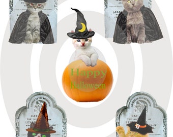 Ammaliante gattini Collage digitale Halloween Clip Art stampabile Scarica la scheda