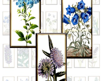 Blue Flowers...Botanicals...1x2 Inch...Dominos...Digital Collage Sheet