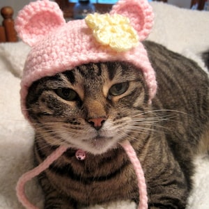 Bär Hut für Katzen, Kostüm für Katzen, Haustier Kleidung, Haustier Hut, Hut für Haustier, Katzen Zubehör, Katze Halloween Kostüm, Hut für kleinen Hund