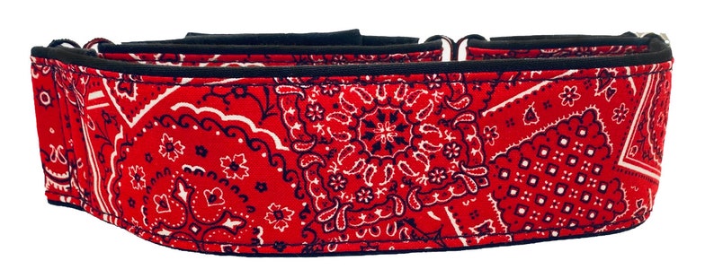 Bandana Print Martingale Collar image 1