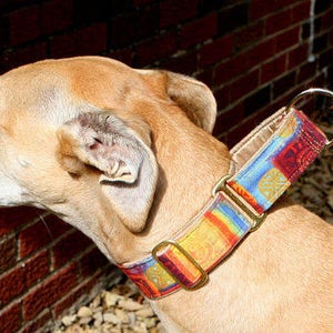 Bandana Print Martingale Collar image 5