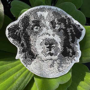 Landseer Dog – Embroidered Iron-On or Sew-On Dog Patch, Toller Appliqué for Jackets, Bags, Hats & More