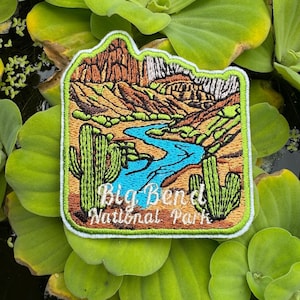 Può includere: Toppa ricamata raffigurante un paesaggio desertico con un fiume, montagne e cactus. La toppa ha un bordo verde e il testo "Big Bend National Park". La toppa è ambientata su uno sfondo di piante acquatiche verdi.