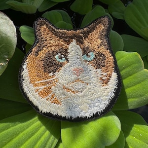 Puede incluir: Parche bordado de un gato marrón, blanco y naranja con ojos azules. El gato tiene una expresión gruñona y mira directamente al espectador.