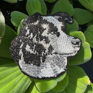 Border Collie - Embroidered Iron-On, Sew-On Dog Patch, Denim, Toller Appliqué for Jackets, Bags, Hats & More