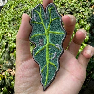 May include: A green embroidered patch of a leaf with a detailed vein pattern. The patch is outlined in gray thread.