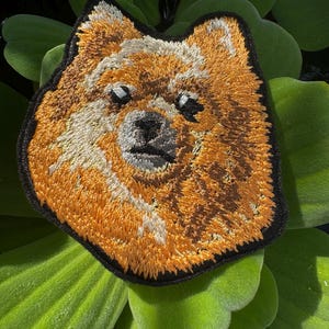 May include: Embroidered patch of a brown and white dog's face. The dog has a black nose and dark eyes. The patch is on a green leafy background.