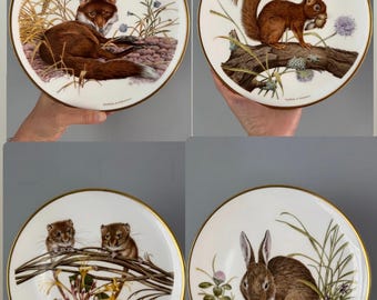 May include: Four decorative plates featuring wildlife illustrations. One plate depicts a fox, another a squirrel, a third shows two mice, and the last one features a rabbit. Each plate has a gold rim and detailed artwork.